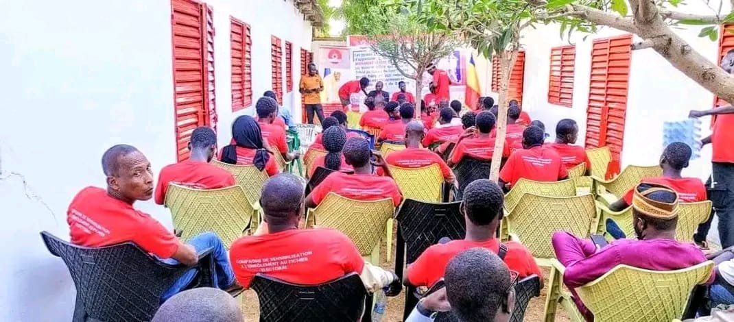 Activité du mouvement